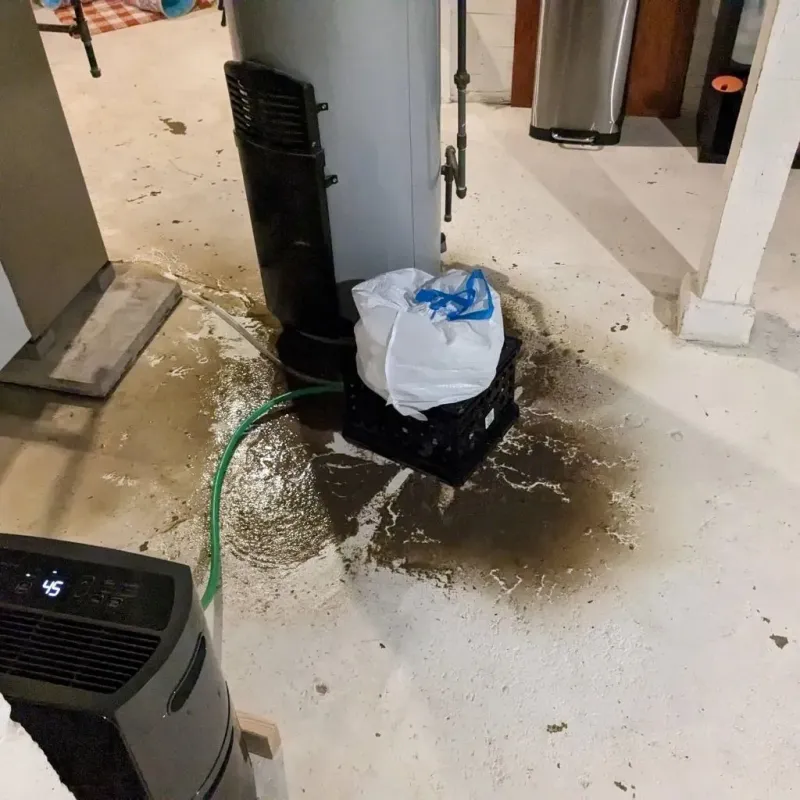 Sewage Backup Cleanup Service in Coatesville, PA